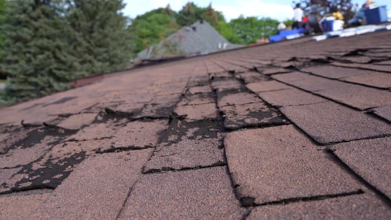 Best Cold Roofs  in Level Park Oak Park, MI