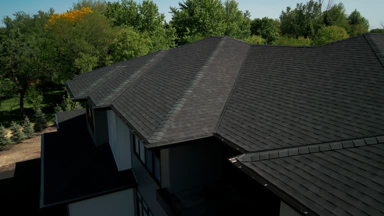 Best Skylight Installation and Repair  in Level Park Oak Park, MI